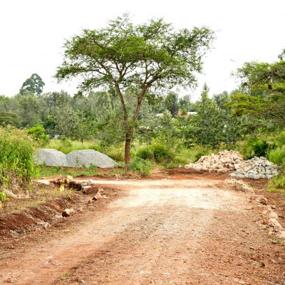 Samima Rise Gardens photo 6